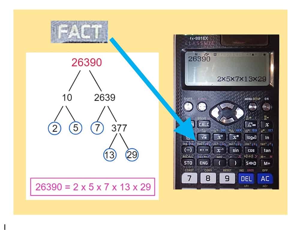 Factor Calculator: Find All Positive Factors